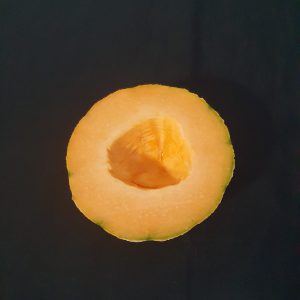 Demi Melon